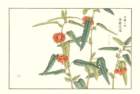 photo27_small.jpg