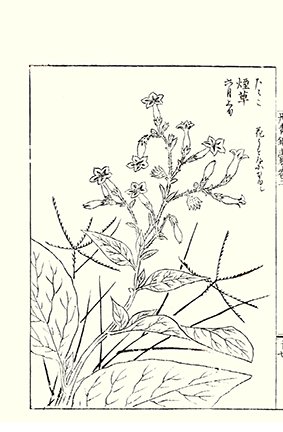 photo20.jpg