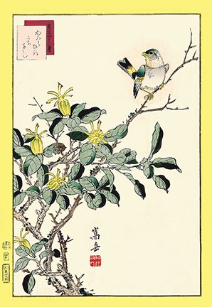 photo40.jpg