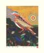photo242_small.jpg