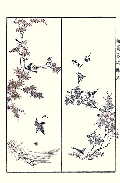 photo19.jpg
