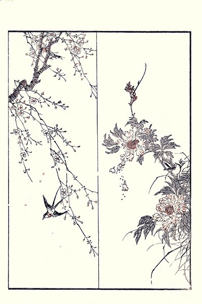 photo20.jpg