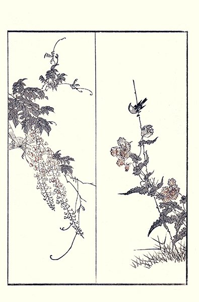 photo22.jpg