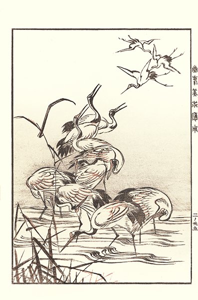 photo24.jpg