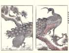 photo10_small.jpg