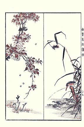photo21.jpg