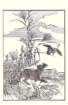 photo8_small.jpg