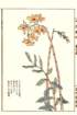 photo10_small.jpg
