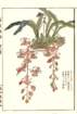 photo11_small.jpg