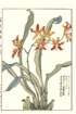 photo17_small.jpg