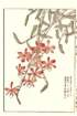 photo20_small.jpg