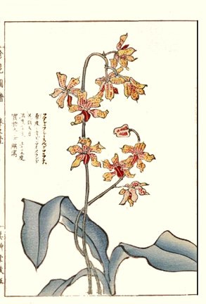 photo25.jpg