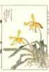 photo2_small.jpg