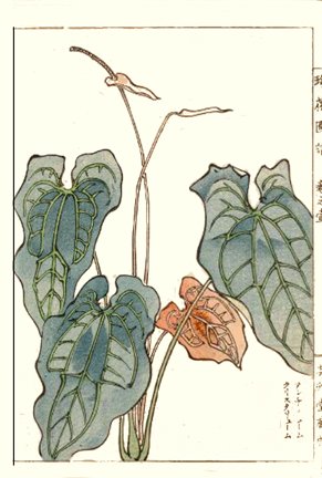 photo32.jpg