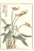 photo33_small.jpg