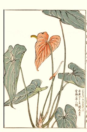 photo34.jpg