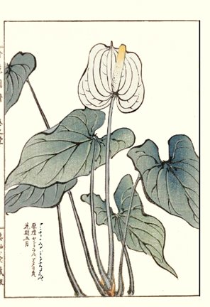 photo35.jpg