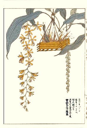photo4.jpg