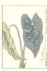 photo40_small.jpg