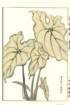 photo44_small.jpg