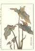 photo49_small.jpg