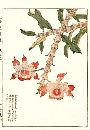 photo51.jpg