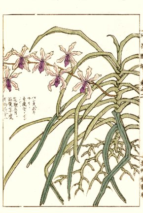 photo54.jpg
