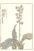 photo73_small.jpg