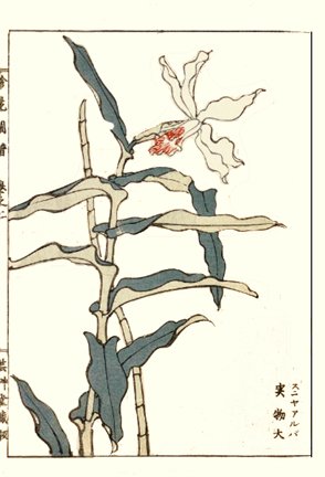 photo75.jpg