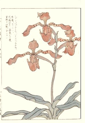 photo77.jpg