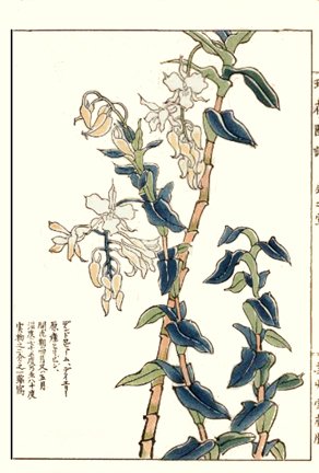 photo8.jpg