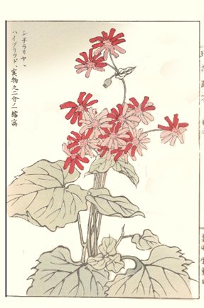 photo82.jpg