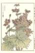 photo84_small.jpg