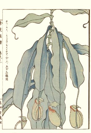 photo93.jpg