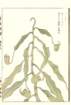 photo95_small.jpg