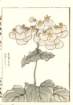 photo97_small.jpg