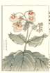 photo98_small.jpg