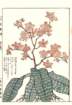 photo9_small.jpg