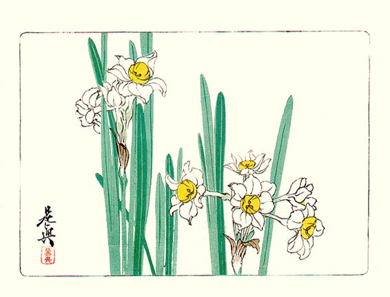 photo12.jpg