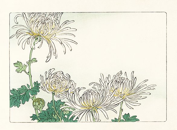photo32.jpg
