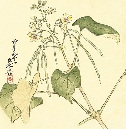 photo26.jpg