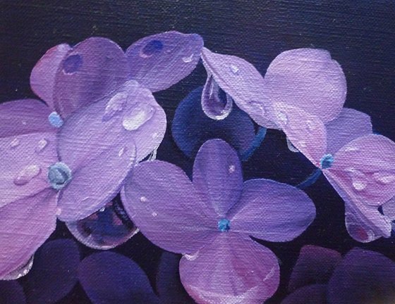 photo28.jpg