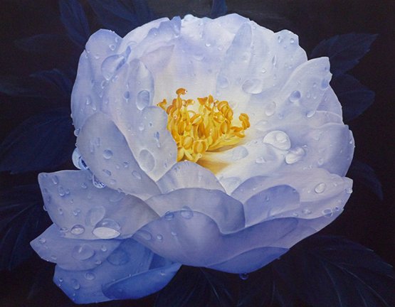 photo46.jpg