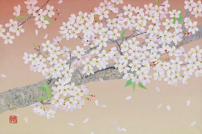 photo27.jpg