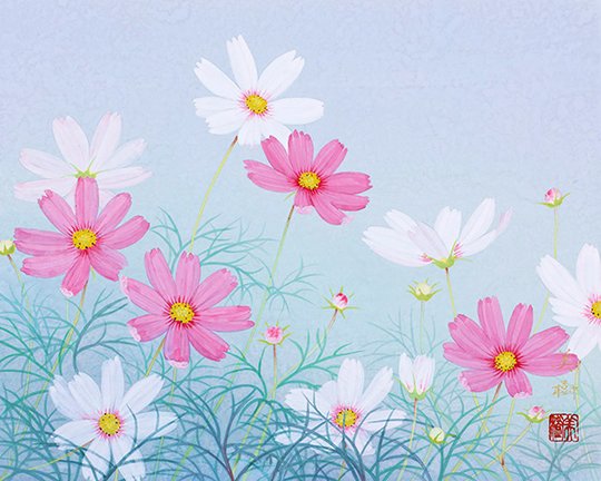 photo37.jpg