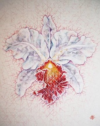 photo46.jpg