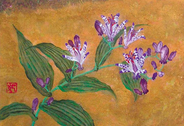 photo30.jpg