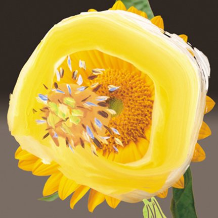 photo8.jpg