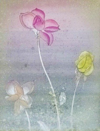 photo.jpg