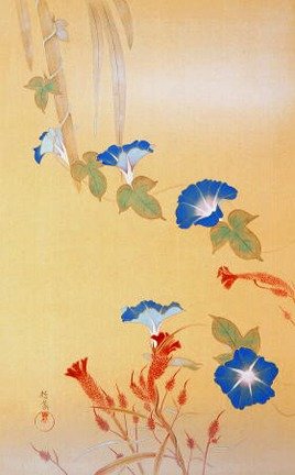 photo20.jpg